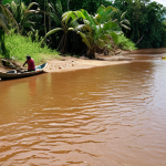 A wide, vibrant scene showcasing the Orinoco River in Venezuela. Lush greenery flanks the riverbanks, with local people engaging in traditional activities like fishing and small-scale agriculture. The image should convey both the river's beauty and its importance to the livelihoods of the communities that depend on it. Focus on the potential negative impact of neglecting the river's health.